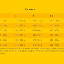 Josera YoungStar - Grain Free 15kg + Surprise Pour Votre Chien GRATUITES ! -Doux Museau Soldes Magasin fre pl Josera YoungStar Grain Free 15kg surprise pour votre chien GRATUITES 25312 4