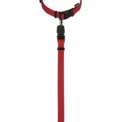 KERBL GoLeyGo 2.0 Ensemble Laisse + Collier Rouge Pour Chien 10mm X 29-45cm, S -Doux Museau Soldes Magasin fre pl KERBL GoLeyGo 2 0 Ensemble laisse collier Rouge pour Chien 10mm x 29 45cm S 12875 3