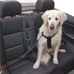 KERBL Sangle Et Harnais De Transport, 30-60 Cm