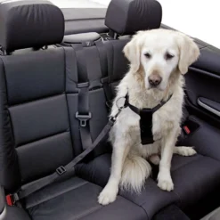 KERBL Sangle Et Harnais De Transport, 70-90 Cm