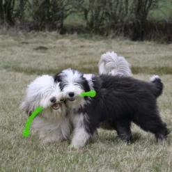 KONG Safestix S -Doux Museau Soldes Magasin fre pl KONG Safestix S 16305 2