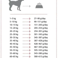 Nature's Protection Extra Salmon 2kg 7 Nature's Protection Extra Salmon 2kg -Doux Museau Soldes Magasin fre pl Natures Protection Extra Salmon 2kg 8773 3