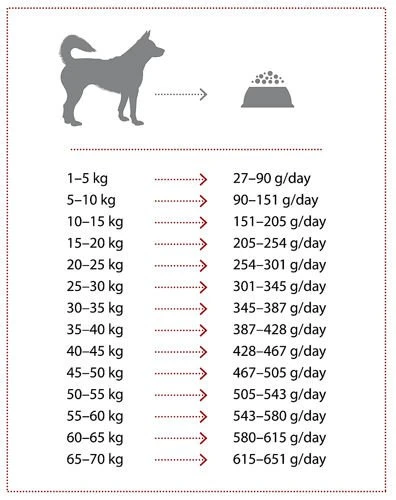 Nature's Protection Extra Salmon 2kg 5 Nature's Protection Extra Salmon 2kg – Image 3