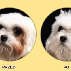 Nature's Protection Superior Care White Dogs Adult Small Breed With Lamb 1,5kg -Doux Museau Soldes Magasin fre pl Natures Protection Superior Care White Dogs Adult Small Breed With Lamb 1 5kg 15637 4