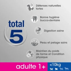 PERFECT FIT Adult 1+ Petites Races Avec Poulet 6kg -Doux Museau Soldes Magasin fre pl PERFECT FIT Adult 1 Petites Races avec Poulet 6kg 9171 4