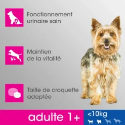 PERFECT FIT Adult 1+ Petites Races Avec Poulet 6kg -Doux Museau Soldes Magasin fre pl PERFECT FIT Adult 1 Petites Races avec Poulet 6kg 9171 9