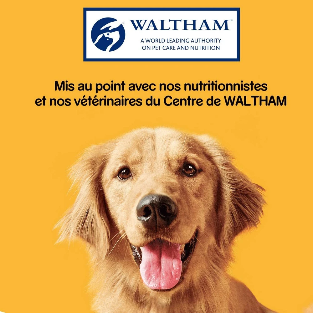 Pedigree Biscrok Biscuits Pour Chiens Adultes Sous Forme De Petits Os Avec De L'agneau, Du Poulet Et Du Bœuf 200g 8 Pedigree Biscrok Biscuits Pour Chiens Adultes Sous Forme De Petits Os Avec De L'agneau, Du Poulet Et Du Bœuf 200g – Image 6