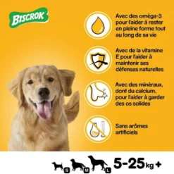 Pedigree Biscrok Biscuits Pour Chiens Adultes Sous Forme De Petits Os Avec De L'agneau, Du Poulet Et Du Bœuf 200g X2 -Doux Museau Soldes Magasin fre pl Pedigree Biscrok Biscuits Pour chiens adultes sous forme de petits os avec de lagneau du poulet et du boeuf 200g x2 30141 6