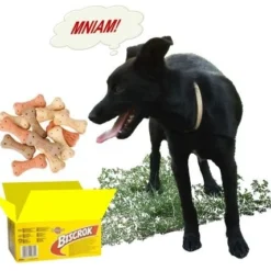 Pedigree Biscrok Biscuits Pour Chiens Adultes Sous Forme D'os Avec De L'agneau, Du Poulet Et Du Bœuf 500g X2 13 Pedigree Biscrok Biscuits Pour Chiens Adultes Sous Forme D'os Avec De L'agneau, Du Poulet Et Du Bœuf 500g X2 -Doux Museau Soldes Magasin fre pl Pedigree Biscrok Biscuits Pour chiens adultes sous forme dos avec de lagneau du poulet et du boeuf 500g x2 30143 3