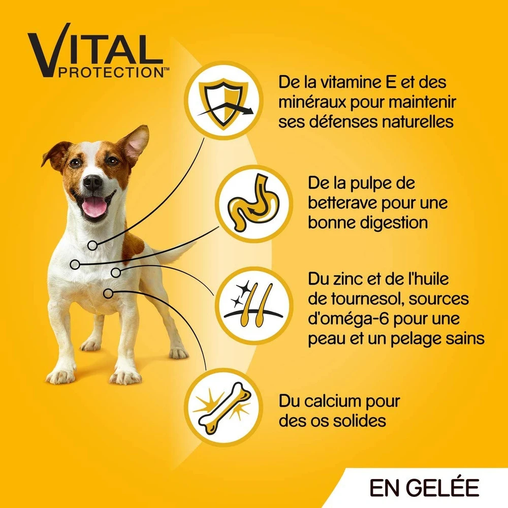 Pedigree Croquettes Humides En Gelée Pour Chiens Adultes Saveurs Variées (boeuf, Poulet, Agneau, Volaille) 40x100g 4 Pedigree Croquettes Humides En Gelée Pour Chiens Adultes Saveurs Variées (boeuf, Poulet, Agneau, Volaille) 40x100g – Image 2