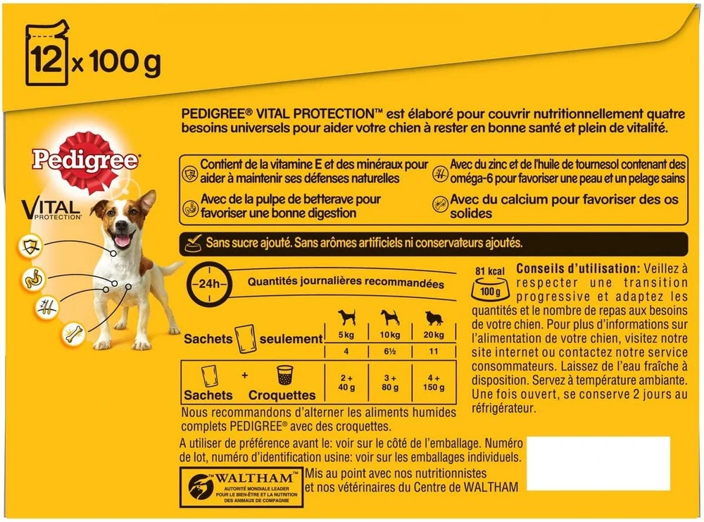 Pedigree Croquettes Humides En Gelée Pour Chiens Adultes Saveurs Variées (boeuf, Poulet, Agneau, Volaille) 40x100g 5 Pedigree Croquettes Humides En Gelée Pour Chiens Adultes Saveurs Variées (boeuf, Poulet, Agneau, Volaille) 40x100g – Image 3
