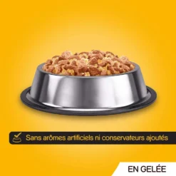 Pedigree Croquettes Humides En Gelée Pour Chiens Adultes Saveurs Variées (boeuf, Poulet, Agneau, Volaille) 40x100g 12 Pedigree Croquettes Humides En Gelée Pour Chiens Adultes Saveurs Variées (boeuf, Poulet, Agneau, Volaille) 40x100g -Doux Museau Soldes Magasin fre pl Pedigree Croquettes humides en gelee pour chiens adultes Saveurs variees boeuf poulet agneau volaille 40x100g 10101 6