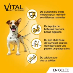 Pedigree Croquettes Humides En Gelée Pour Chiens Adultes Avec Boeuf, Poulet, Agneau, Volaille 12x100g 10 Pedigree Croquettes Humides En Gelée Pour Chiens Adultes Avec Boeuf, Poulet, Agneau, Volaille 12x100g -Doux Museau Soldes Magasin fre pl Pedigree Croquettes humides en gelee pour chiens adultes avec boeuf poulet agneau volaille 12x100g 9891 4