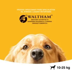 Pedigree Croquettes Pour Chiens Adultes De Race Moyenne Avec Boeuf Et Volaille 15kg 12 Pedigree Croquettes Pour Chiens Adultes De Race Moyenne Avec Boeuf Et Volaille 15kg -Doux Museau Soldes Magasin fre pl Pedigree Croquettes pour chiens adultes de race moyenne avec boeuf et volaille 15kg 14100 4