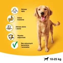 Pedigree Pedigree Nourriture Sèche Pour Chien Adulte De Race Moyenne Au Boeuf Et à La Volaille 15kg + Surprise Gartuite Pour Chien -Doux Museau Soldes Magasin fre pl Pedigree Pedigree Nourriture seche pour chien adulte de race moyenne au boeuf et a la volaille 15kg Surprise gartuite pour chien 27801 3