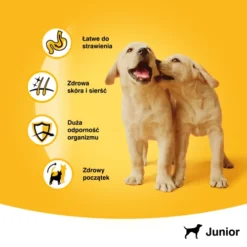Pedigree Nourriture Humide Pour Chiots Avec Gelée De Poulet 400g X24 11 Pedigree Nourriture Humide Pour Chiots Avec Gelée De Poulet 400g X24 -Doux Museau Soldes Magasin fre pl Pedigree nourriture humide pour chiots avec gelee de poulet 400g x24 25288 4