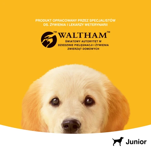 Pedigree Nourriture Humide Pour Chiots Avec Gelée De Poulet 400g X24 8 Pedigree Nourriture Humide Pour Chiots Avec Gelée De Poulet 400g X24 – Image 6