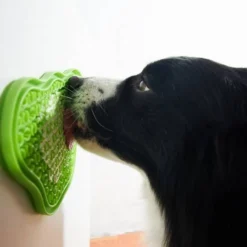 Pet Dream House 2-in-1 Slow Feeding Bowl Orange Eas -Doux Museau Soldes Magasin fre pl Pet Dream House 2 in 1 slow feeding bowl Orange Eas 25985 3