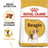 ROYAL CANIN Beagle Adult 12kg -Doux Museau Soldes Magasin fre pl ROYAL CANIN Beagle Adult 12kg 16915 1