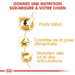 ROYAL CANIN Beagle Adult 12kg -Doux Museau Soldes Magasin fre pl ROYAL CANIN Beagle Adult 12kg 16915 4