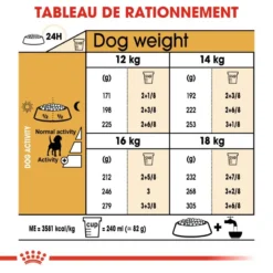 ROYAL CANIN Beagle Adult 12kg -Doux Museau Soldes Magasin fre pl ROYAL CANIN Beagle Adult 12kg 16915 5