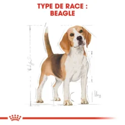 ROYAL CANIN Beagle Adult 12kg X2 -Doux Museau Soldes Magasin fre pl ROYAL CANIN Beagle Adult 12kg x2 30601 6