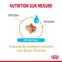 ROYAL CANIN Berger Allemand Adult 5+ 3kg -Doux Museau Soldes Magasin fre pl ROYAL CANIN Berger Allemand Adult 5 3kg 12524 3