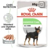 ROYAL CANIN CCN Digestive Care Pâté 12x85g -Doux Museau Soldes Magasin fre pl ROYAL CANIN CCN Digestive Care Pate 12x85g 10093 1