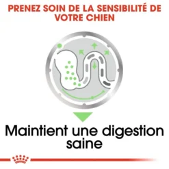 ROYAL CANIN CCN Digestive Care Pâté 12x85g -Doux Museau Soldes Magasin fre pl ROYAL CANIN CCN Digestive Care Pate 12x85g 10093 5