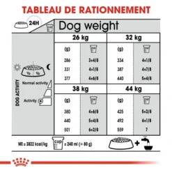 ROYAL CANIN CCN Maxi Dental Care 9kg 13 ROYAL CANIN CCN Maxi Dental Care 9kg -Doux Museau Soldes Magasin fre pl ROYAL CANIN CCN Maxi Dental Care 9kg 10068 6