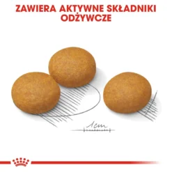 ROYAL CANIN CCN Maxi Dermacomfort 12kg Croquettes Pour Chiens Adultes, Grandes Races, à La Peau Sensible Et Sujette Aux Irritations. -Doux Museau Soldes Magasin fre pl ROYAL CANIN CCN Maxi Dermacomfort 12kg croquettes pour chiens adultes grandes races a la peau sensible et sujette aux irritations 25933 5
