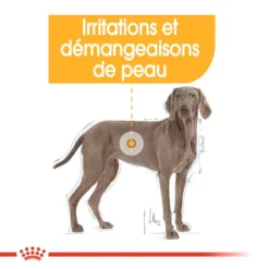 ROYAL CANIN CCN Maxi Dermacomfort 3kg -Doux Museau Soldes Magasin fre pl ROYAL CANIN CCN Maxi Dermacomfort 3kg 16272 7