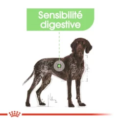 ROYAL CANIN CCN Maxi Digestive Care 3kg -Doux Museau Soldes Magasin fre pl ROYAL CANIN CCN Maxi Digestive Care 3kg 10070 7