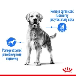 ROYAL CANIN CCN Maxi Light Weight Care 12kg -Doux Museau Soldes Magasin fre pl ROYAL CANIN CCN Maxi Light Weight Care 12kg 25857 4
