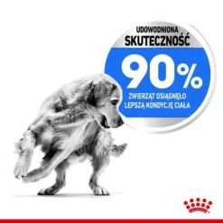 ROYAL CANIN CCN Maxi Light Weight Care 12kg Croquettes Pour Chiens Adultes, Grandes Races Sujettes Au Surpoids + Surprise Pour Chien Gratuite -Doux Museau Soldes Magasin fre pl ROYAL CANIN CCN Maxi Light Weight Care 12kg croquettes pour chiens adultes grandes races sujettes au surpoids surprise pour chien gratuite 25889 5