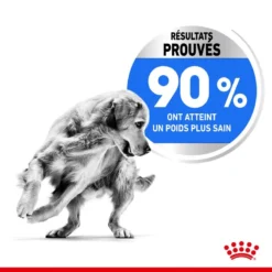 ROYAL CANIN CCN Maxi Light Weight Care 3kg -Doux Museau Soldes Magasin fre pl ROYAL CANIN CCN Maxi Light Weight Care 3kg 10055 6