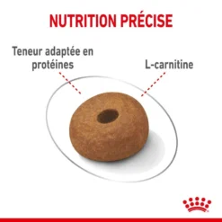 ROYAL CANIN CCN Maxi Light Weight Care 3kg -Doux Museau Soldes Magasin fre pl ROYAL CANIN CCN Maxi Light Weight Care 3kg 10055 8