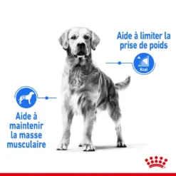 ROYAL CANIN CCN Maxi Light Weight Care 3kg -Doux Museau Soldes Magasin fre pl ROYAL CANIN CCN Maxi Light Weight Care 3kg 10055 9