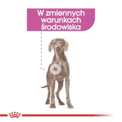 ROYAL CANIN CCN Maxi Relax Care 9kg -Doux Museau Soldes Magasin fre pl ROYAL CANIN CCN Maxi Relax Care 9kg 10071 2