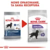 ROYAL CANIN CCN Maxi Sterilised 12kg Nourriture Sèche Pour Chiens Adultes De Grande Race Stérilisés -Doux Museau Soldes Magasin fre pl ROYAL CANIN CCN Maxi Sterilised 12kg nourriture seche pour chiens adultes de grande race sterilises 25934 2