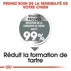 ROYAL CANIN CCN Medium Dental Care 10kg -Doux Museau Soldes Magasin fre pl ROYAL CANIN CCN Medium Dental Care 10kg 10074 2