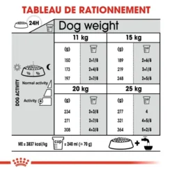 ROYAL CANIN CCN Medium Dental Care 10kg -Doux Museau Soldes Magasin fre pl ROYAL CANIN CCN Medium Dental Care 10kg 10074 6