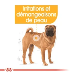 ROYAL CANIN CCN Medium Dermacomfort 3kg -Doux Museau Soldes Magasin fre pl ROYAL CANIN CCN Medium Dermacomfort 3kg 16276 2