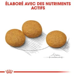 ROYAL CANIN CCN Medium Dermacomfort 3kg -Doux Museau Soldes Magasin fre pl ROYAL CANIN CCN Medium Dermacomfort 3kg 16276 4