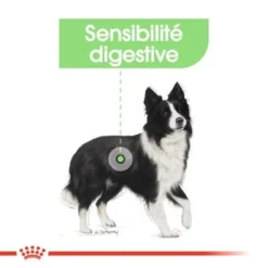 ROYAL CANIN CCN Medium Digestive Care 3kg -Doux Museau Soldes Magasin fre pl ROYAL CANIN CCN Medium Digestive Care 3kg 16277 7
