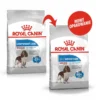ROYAL CANIN CCN Medium Light Weight Care 12kg Nourriture Sèche Pour Chiens Adultes, Races Moyennes Sujettes à L'embonpoint 1 ROYAL CANIN CCN Medium Light Weight Care 12kg Nourriture Sèche Pour Chiens Adultes, Races Moyennes Sujettes à L'embonpoint -Doux Museau Soldes Magasin fre pl ROYAL CANIN CCN Medium Light Weight Care 12kg nourriture seche pour chiens adultes races moyennes sujettes a lembonpoint 26050 3