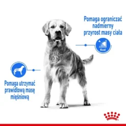 ROYAL CANIN CCN Medium Light Weight Care 12kg Nourriture Sèche Pour Chiens Adultes, Races Moyennes Sujettes à L'embonpoint -Doux Museau Soldes Magasin fre pl ROYAL CANIN CCN Medium Light Weight Care 12kg nourriture seche pour chiens adultes races moyennes sujettes a lembonpoint 26050 4