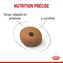 ROYAL CANIN CCN Medium Light Weight Care 3kg -Doux Museau Soldes Magasin fre pl ROYAL CANIN CCN Medium Light Weight Care 3kg 10066 4