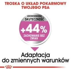 ROYAL CANIN CCN Medium Relax Care 10kg 10 ROYAL CANIN CCN Medium Relax Care 10kg -Doux Museau Soldes Magasin fre pl ROYAL CANIN CCN Medium Relax Care 10kg 10077 3