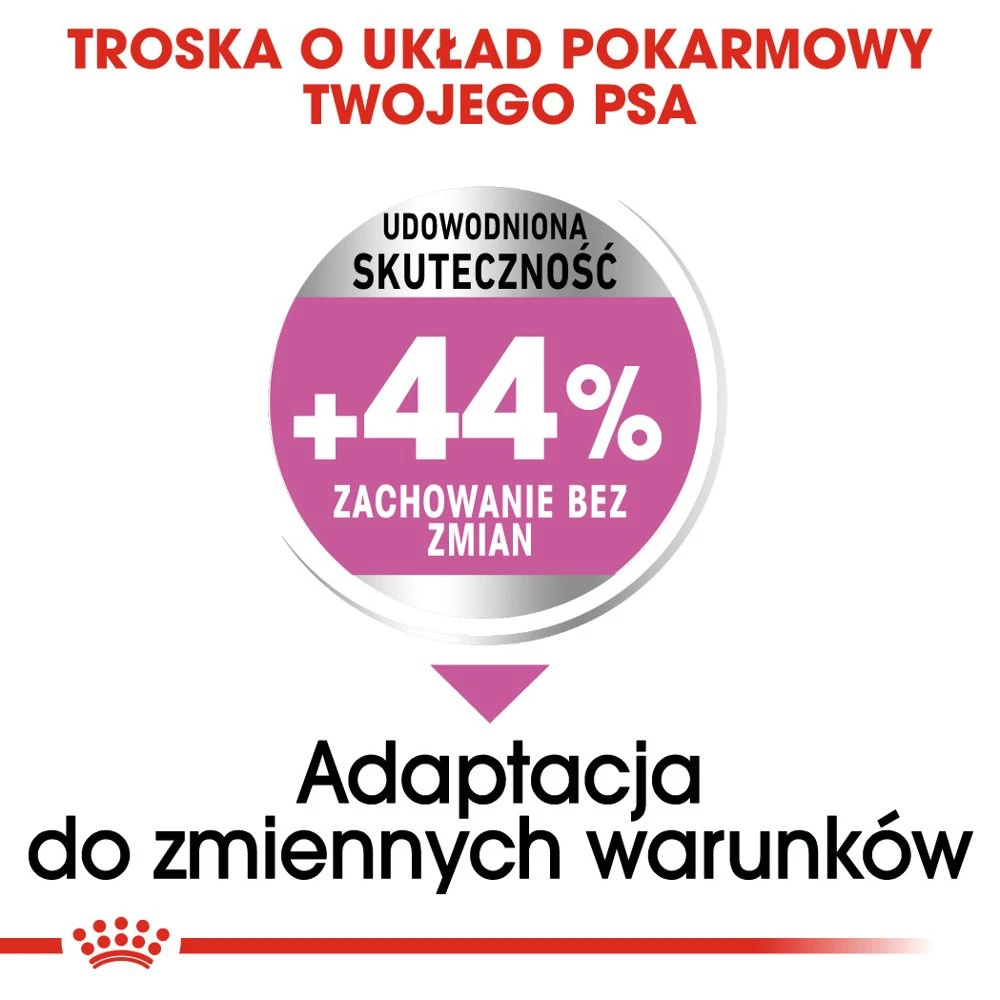 ROYAL CANIN CCN Medium Relax Care 10kg 5 ROYAL CANIN CCN Medium Relax Care 10kg – Image 3